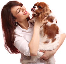 Garde de chiens et de chats à votre domicile 7