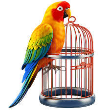 images 7