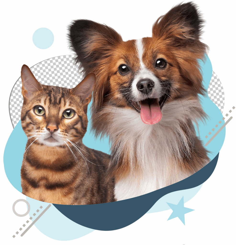 bannierehome e1761868042899