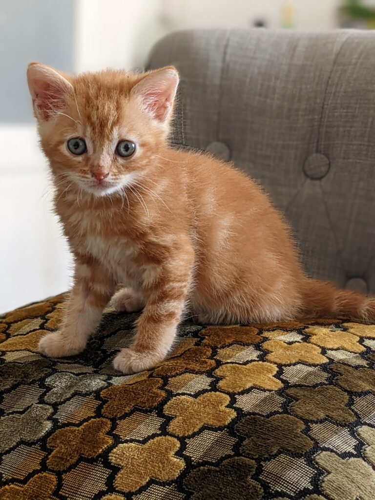 PXL 20220909 104651107.PORTRAIT