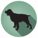 Screenshot 2025 11 11 17.08.19