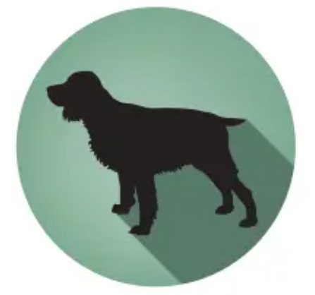 Screenshot 2025 11 11 17.08.19