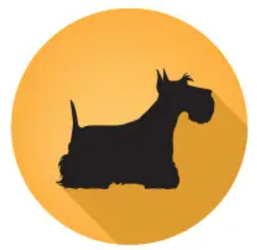 Screenshot 2025 11 11 17.09.08